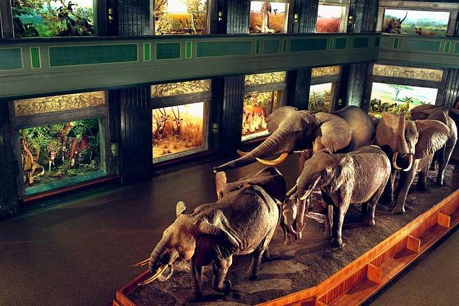 New York CityPASS® - American Museum of Natural History: plan for a long indoor visit