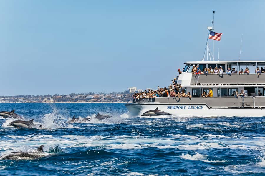 Newport Beach: 2-Hour Whale Watching Tour - Balboa Island and the first views from Newport Harbor