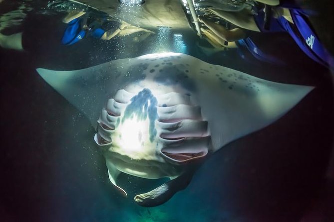 Night Manta Ray Experience - Arriving at Sea Quest Hawaii in Kailua-Kona