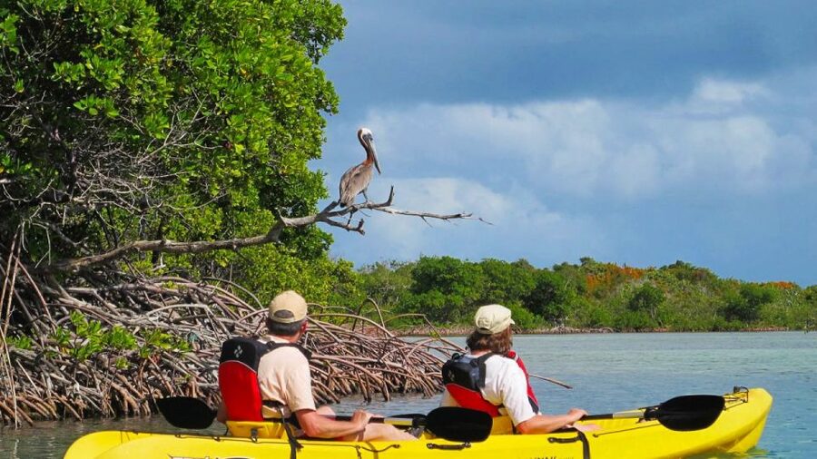 North Miami: Nature & Island Exploration on SUP/Kayak - Why this North Miami paddle is worth your time