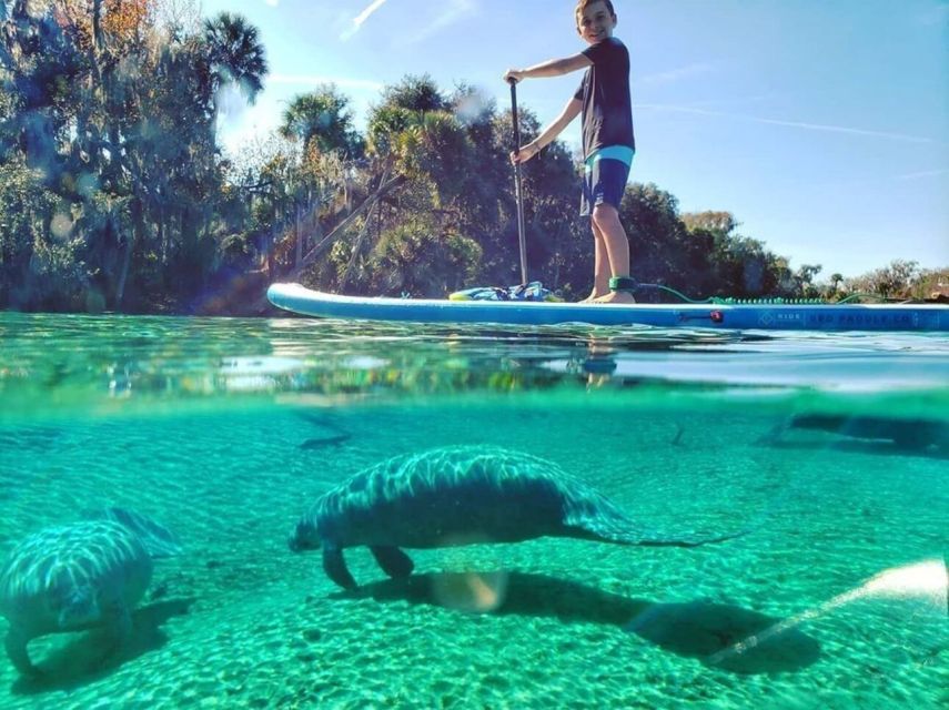 North Miami: Nature & Island Exploration on SUP/Kayak - Choosing between a kayak and stand-up paddleboard