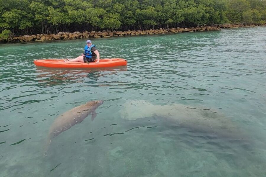 North Miami: Nature & Island Exploration on SUP/Kayak - Through the Osprey Triangle mangroves