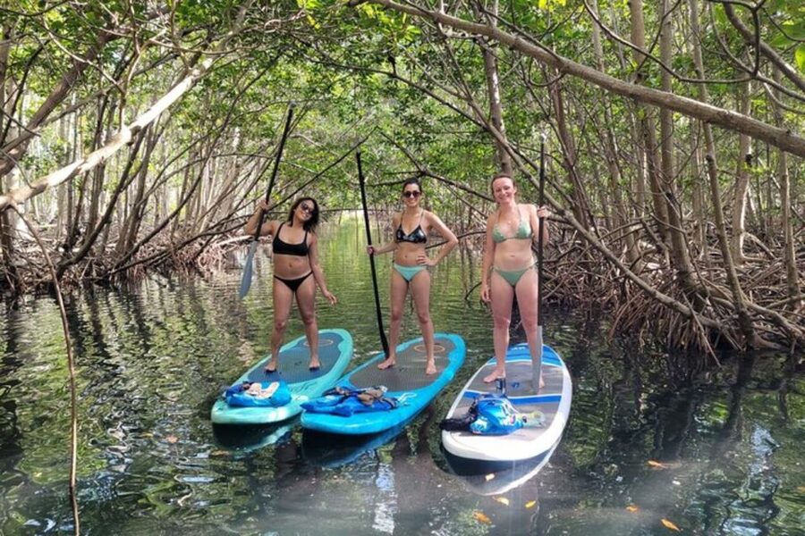 North Miami: Nature & Island Exploration on SUP/Kayak - What to bring and how to prepare
