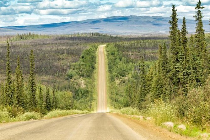 Northern Lights & Arctic Circle Tour - Key points before you book