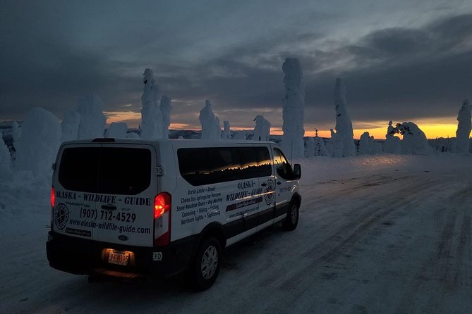 Northern Lights & Arctic Circle Tour - The rough-road reality