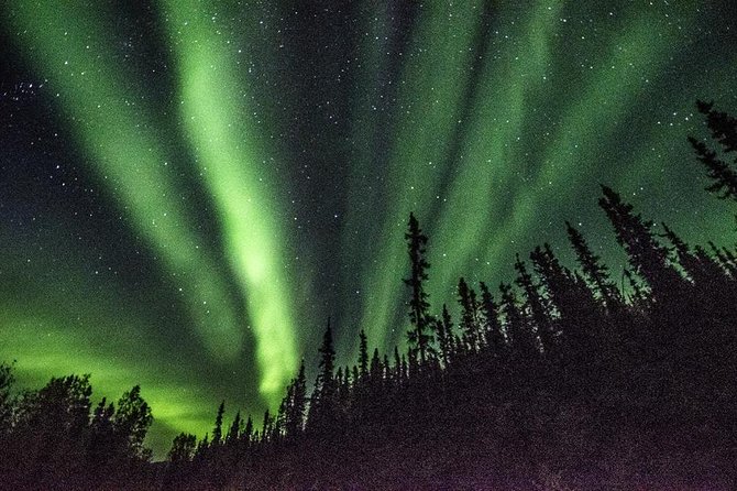 Northern Lights & Arctic Circle Tour - What the $330 price really buys