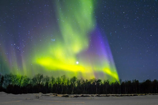 Northern Lights & Chena Hot Springs Tour - How The $250 Price Holds Up