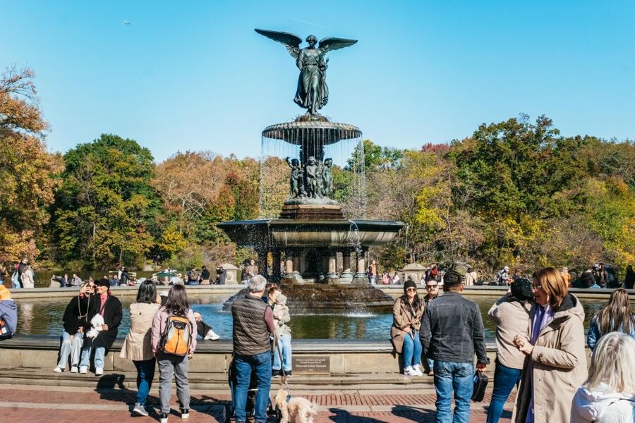 NYC: Central Park Guided Pedicab Tour - Why a pedicab makes sense in Central Park