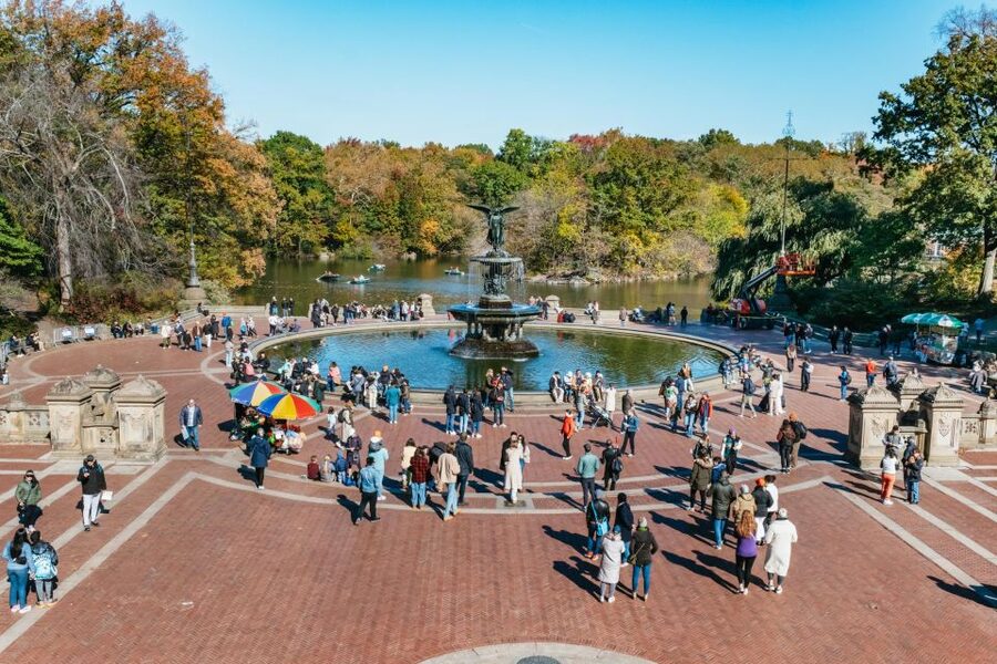NYC: Central Park Guided Pedicab Tour - Belvedere Castle and the movie-location hunt