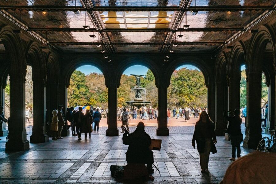 NYC: Central Park Guided Pedicab Tour - Winter blankets, rain, and choosing your time