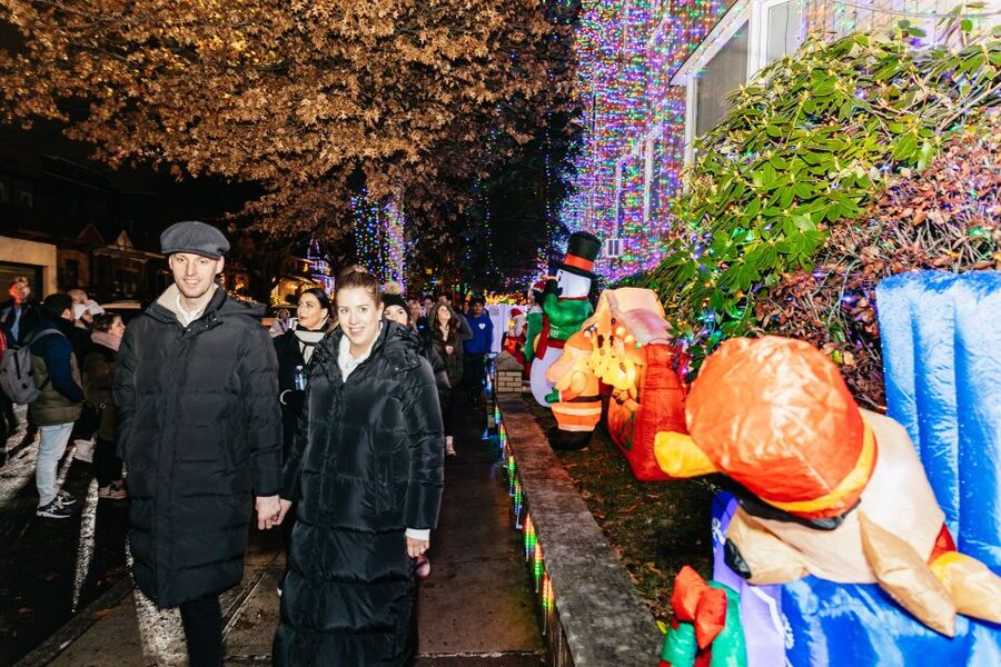 NYC: Dyker Heights Christmas Lights & Skyline View Bus Tour - Who should book this Christmas lights tour?