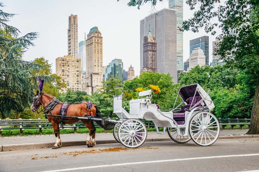 NYC: Guided Central Park Horse Carriage Ride - Key points to know before you book