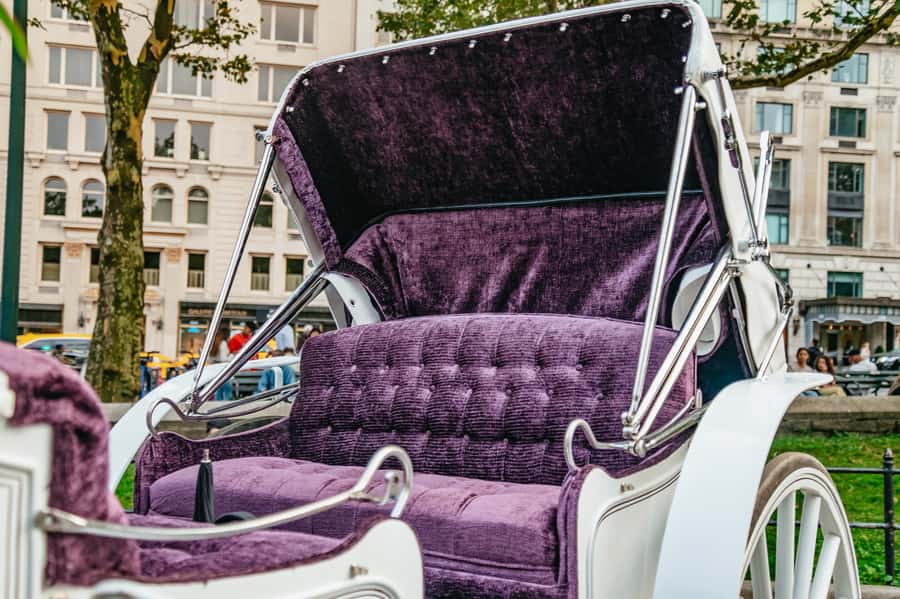 NYC: Guided Central Park Horse Carriage Ride - Who should book this Central Park carriage ride?