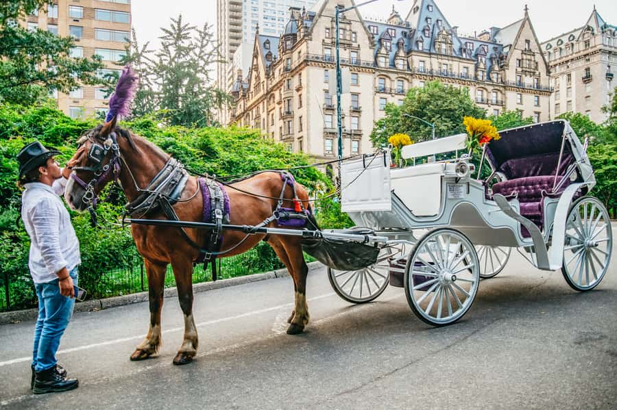 NYC: Guided Central Park Horse Carriage Ride - A relaxed way to cover Central Park
