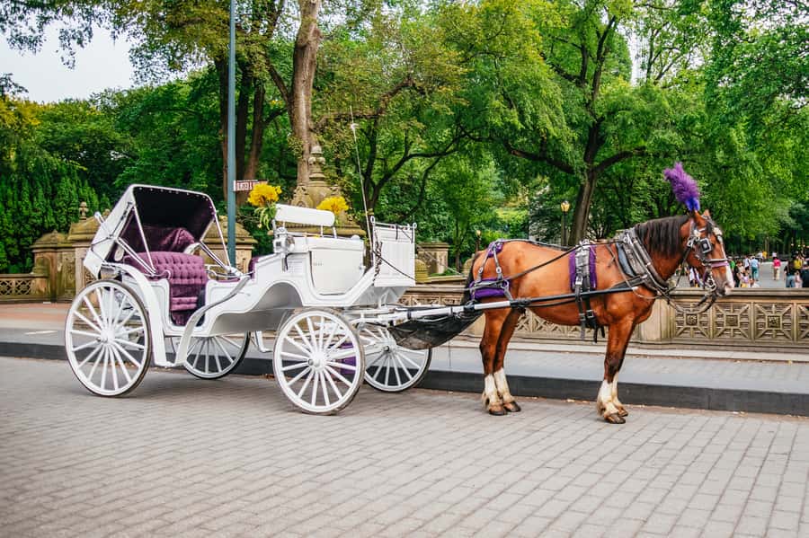 NYC: Guided Central Park Horse Carriage Ride - The Lake, Boat Pond, and Cherry Hill