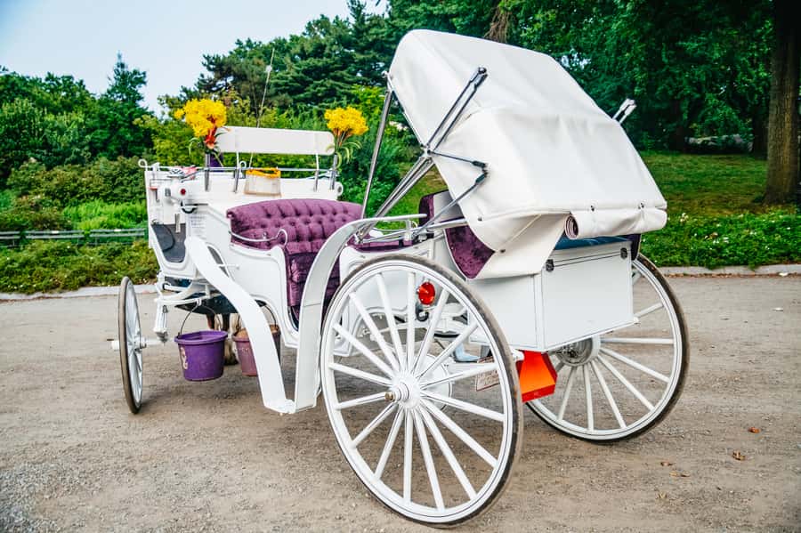NYC: Guided Central Park Horse Carriage Ride - Sheep Meadow, Tavern on the Green, and the park’s quieter views