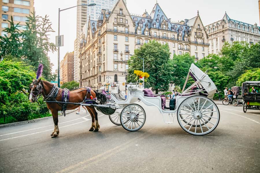 NYC: Guided Central Park Horse Carriage Ride - What the guide adds to the ride