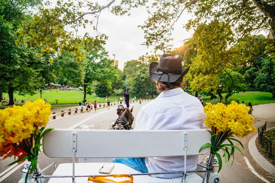 NYC: Guided Central Park Horse Carriage Ride - From Wollman Rink to the Chess and Checker House