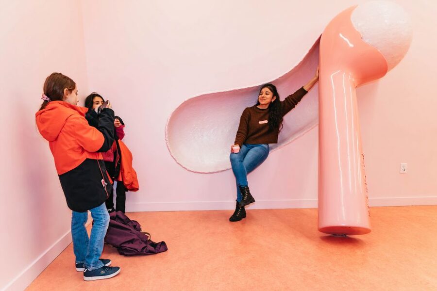 NYC: Museum of Ice Cream Entry Ticket - A good choice for families, dates, and mixed-age groups