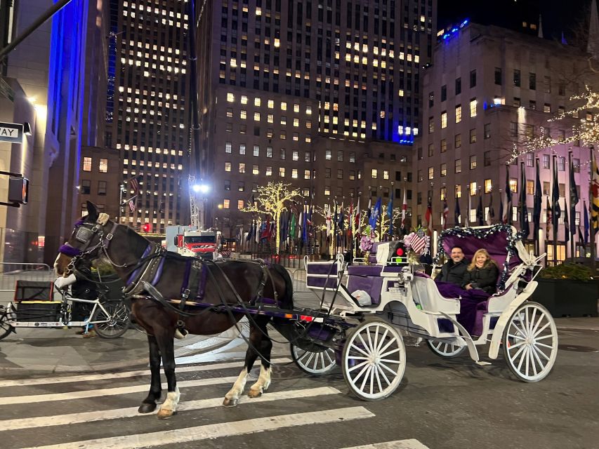 NYC: Private Central Park Horse Carriage Ride with Guide - The optional Manhattan lights route