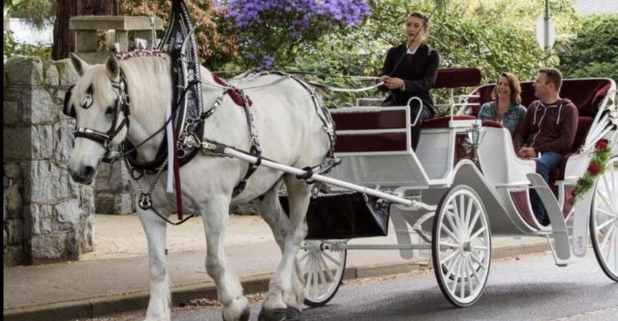 NYC: Private Central Park Horse Carriage Ride with Guide - Winter blankets, snow, and comfort