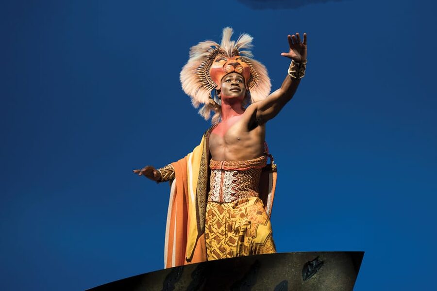 NYC: The Lion King on Broadway - Who Should Book The Lion King