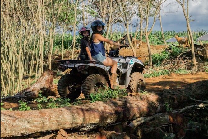 Oahu Beachfront ATV Adventure and Farm Tour - A good fit for first-time ATV riders