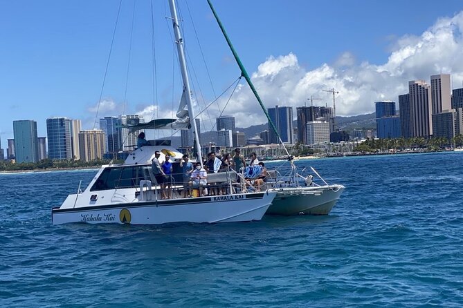 Oahu Catamaran Snorkel Tour: See Turtles 100% Guaranteed - The crew’s best contribution is in the water