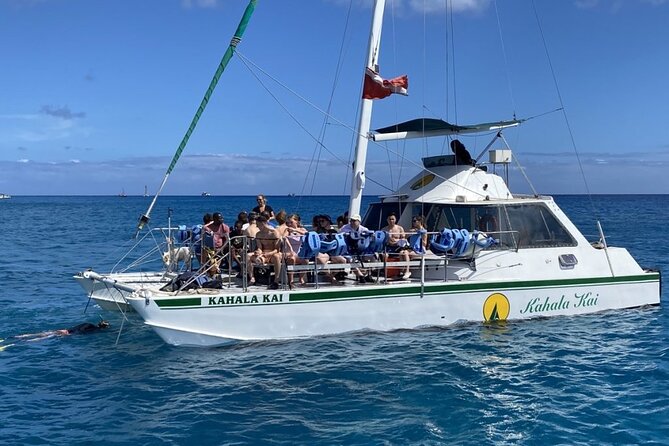 Oahu Catamaran Snorkel Tour: See Turtles 100% Guaranteed - Wildlife beyond the guaranteed turtles