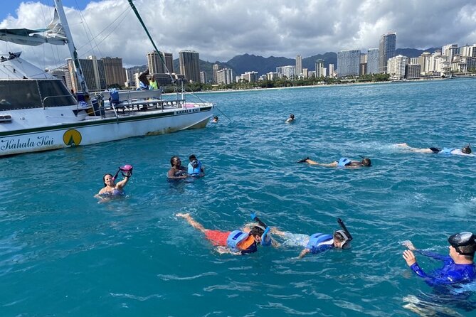 Oahu Catamaran Snorkel Tour: See Turtles 100% Guaranteed - What happens at Turtle Canyon reef