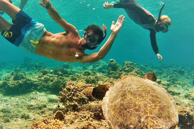 Oahu Circle Island Tour with Turtle Snorkeling— Small-Groups - Makapuʻu, Rabbit Island, and Waimanalo