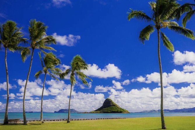 Oahu Circle Island Tour with Waimea Waterfall - Waimea Valley and the waterfall walk