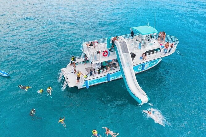 Oahu Dolphin and Snorkel Tour with Waikiki Pickup & Lunch - Key points to know before you book