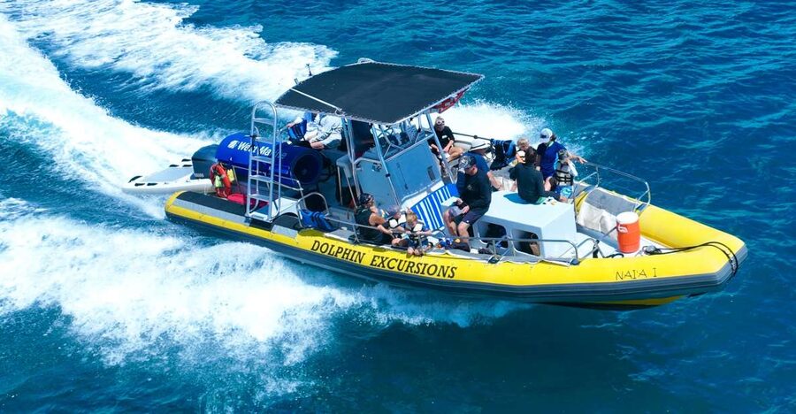 Oahu: Dolphin Swim and Turtle Snorkel Excursion in Waianae - Why the Waianae Coast makes this a strong wildlife trip