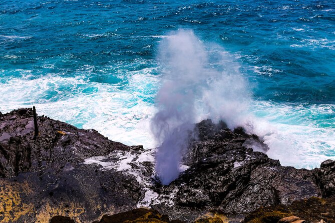 Oahu Grand Circle Island and Haleiwa Tour: 9-Hr Deluxe Experience - Tropical Farms and the taste of island agriculture