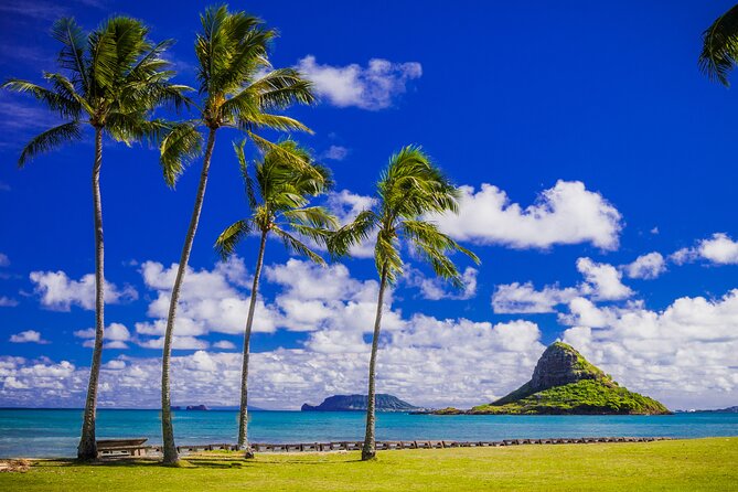 Oahu Grand Circle Island and Haleiwa Tour: 9-Hr Deluxe Experience - Dole Plantation and the limits of a short finale