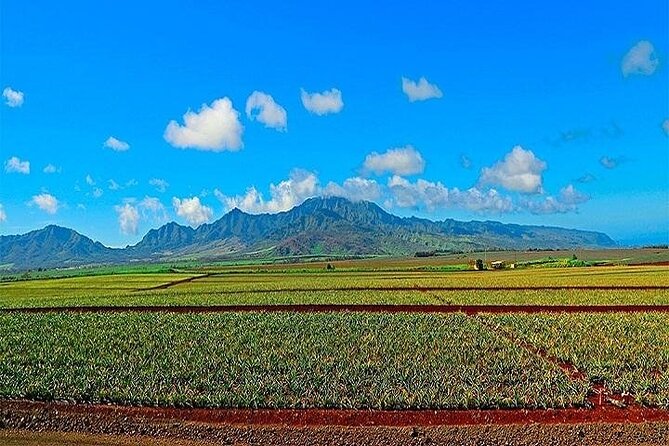 Oahu Grand Circle Island Experience from Waikiki - The North Shore’s famous surf beaches