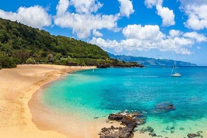 Oahu Grand Circle Island Experience from Waikiki - Turtle Beach and Puaʻena Point water time