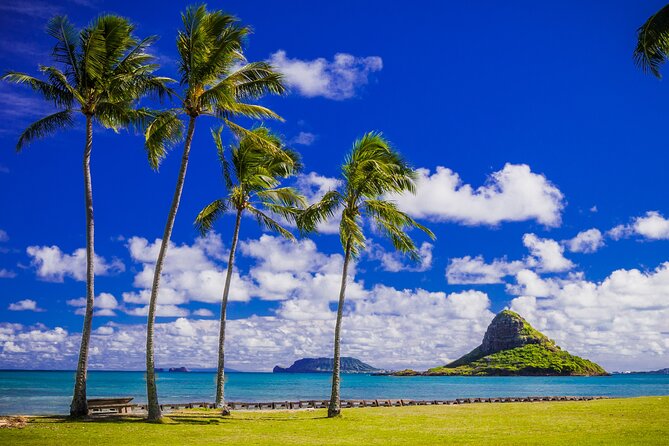 Oahu: Grand Tour Around Island 16 Locations plus Snorkeling - Farms, fruit stands, and the commercial side of the route
