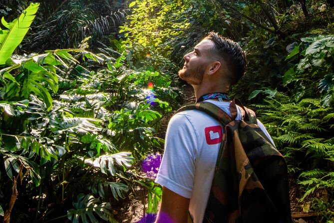 Oahu in a Day: Waterfall - Food Trucks - Lookouts - Small Crowds - Why this Oahu day tour works for first-time visitors