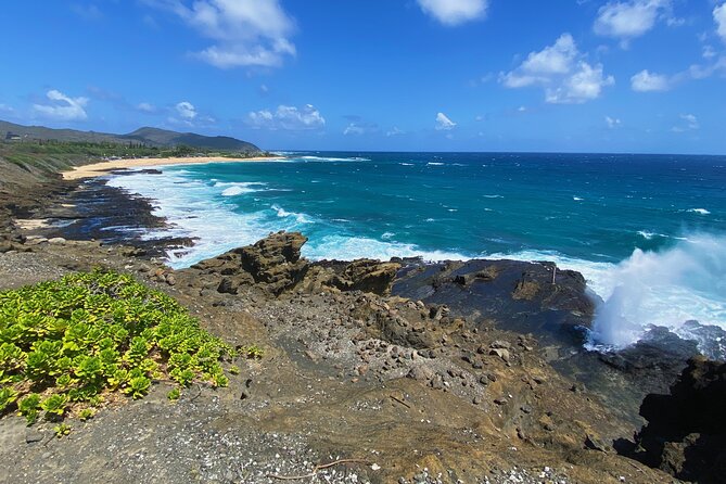Oahu Island Experience feat the North Shore (Small Group Tour) - Kahuku lunch and the food-truck question