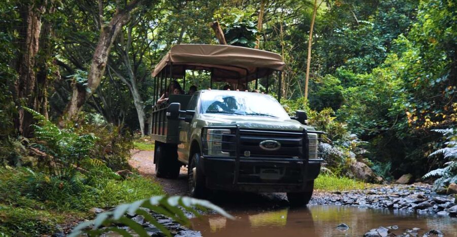 Oahu: Kualoa Open Air Jungle Expedition Tour - Key points at a glance