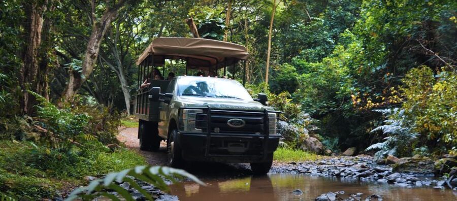 Oahu: Kualoa Open Air Jungle Expedition Tour - The open-air vehicle sets the tone