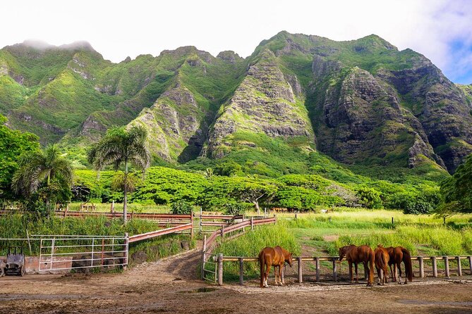 Oahu: Kualoa Ranch UTV Raptor Tour - Safety briefing, helmets, and choosing your seat
