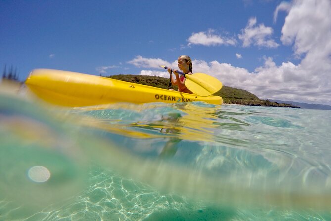 Oahu North Shore Experience: Activities, Waterfall & Free Time - Why This North Shore Tour Works