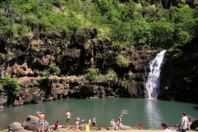 Oahu North Shore Experience: Activities, Waterfall & Free Time - Tropical Farms and the First Taste of Island Flavor