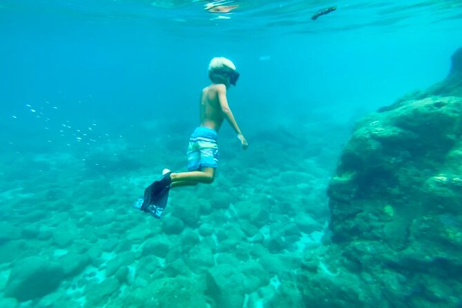 Oahu North Shore Experience: Activities, Waterfall & Free Time - Shark’s Cove, Fish, Turtles, and Uneven Rocks