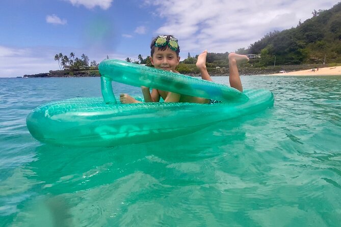Oahu North Shore Experience: Activities, Waterfall & Free Time - Pineapple Country and the Ride Home