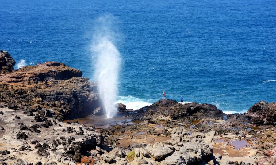 Oahu: Oahu Ultimate Grand Circle Island Tour - Sea cliffs, blowholes, and Makapuʻu Point