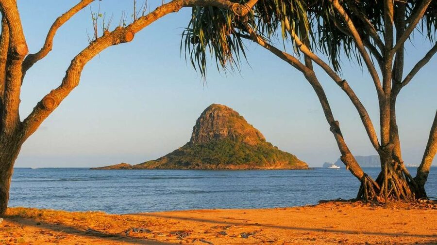 Oahu: Oahu Ultimate Grand Circle Island Tour - Kahuku shrimp and North Shore food stops
